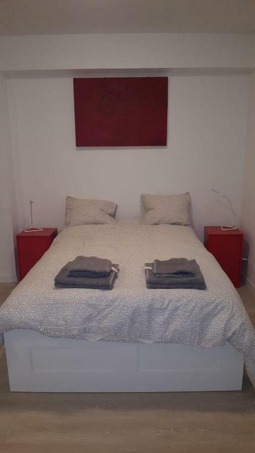 Central Appartment 2 Bedrooms 布鲁塞尔 外观 照片